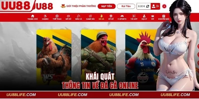 Khái quát một vài thông tin về đá gà online
